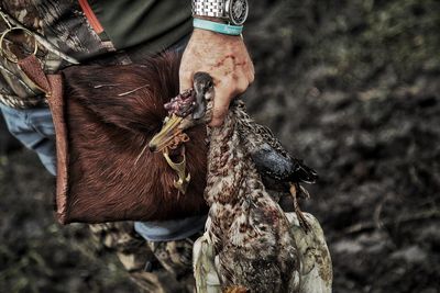 Close-up of man holding bird