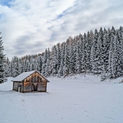 Scenic view of snow covered landscape