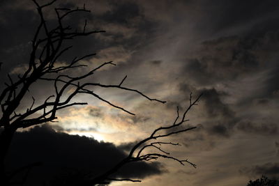 Low angle view of bare tree against cloudy sky