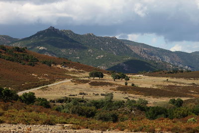Scenic view of landscape and mountains against sky
