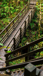 High angle view of railroad tracks in forest