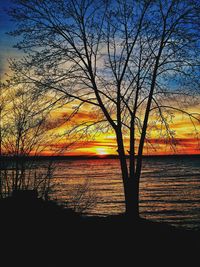 Silhouette bare trees by lake against sky during sunset