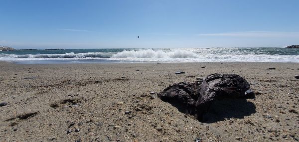 Driftwood on beach against sky