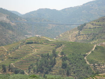 High angle view of field against clear sky