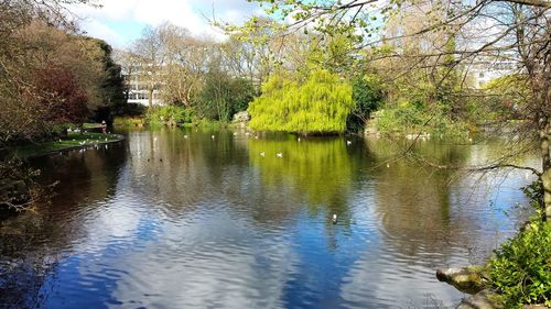Scenic view of lake in forest against sky
