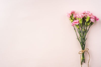 Close-up of pink flower vase against white background