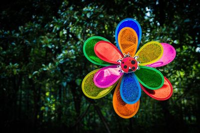 Close-up of multi colored toy on tree
