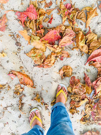 Low section of person standing on autumn leaves