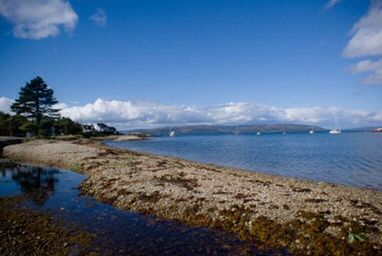 Scenic view of beach against blue sky