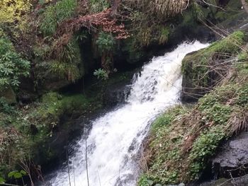 Scenic view of waterfall in forest