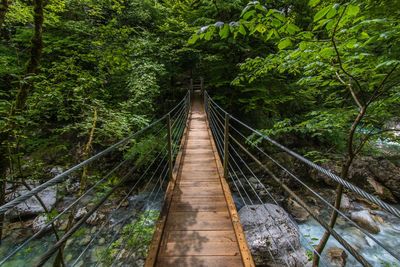 High angle view of footbridge over river in forest