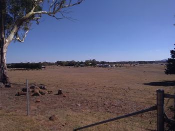 Scenic view of field against clear blue sky