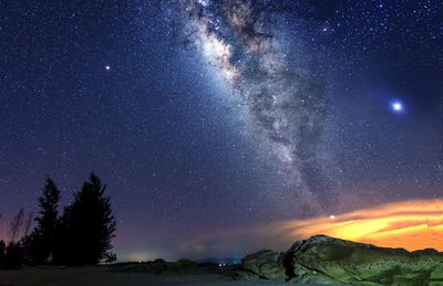 Low angle view of trees against sky at night