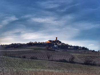 Scenic view of agricultural field against sky