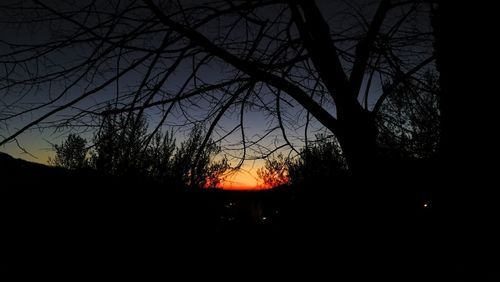 Silhouette bare trees against sky at sunset