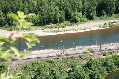 High angle view of trees by lake