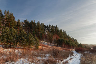 Scenic view of land against sky during winter