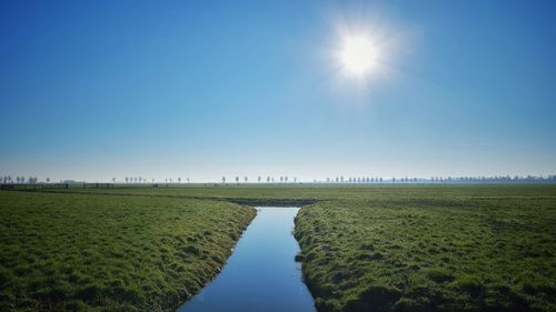 Scenic view of field against clear sky