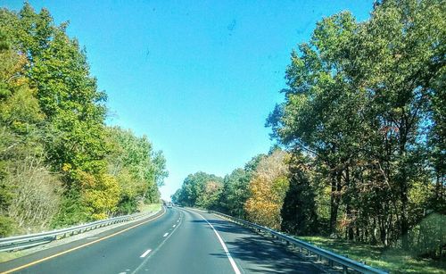 Country road along trees