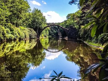 Reflection of trees in water