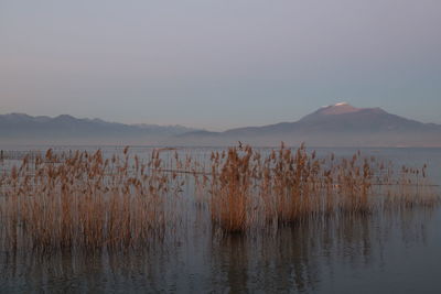 Scenic view of lake against sky