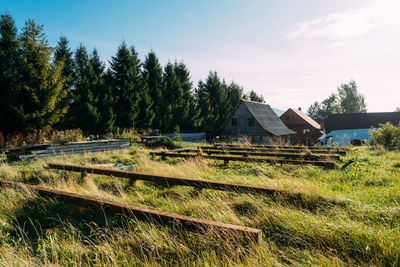 Trees and houses on field against sky