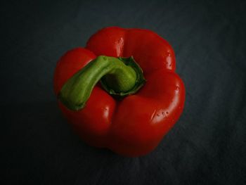 Close-up of red bell pepper against black background