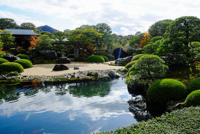 Scenic view of lake in garden against sky