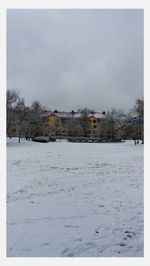 Snow covered landscape