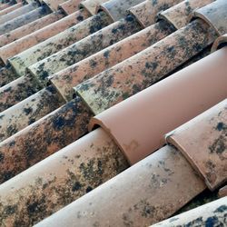 Full frame shot of roof tiles