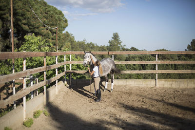 Full length of woman and horse standing on railing against sky