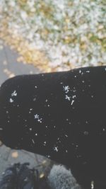 Close-up of wet leaf