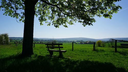 Park bench on field against clear sky