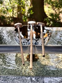 Water fountain in forest