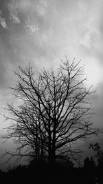 Low angle view of silhouette bare tree against sky