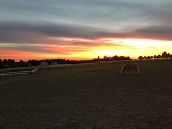 Scenic view of sunset over land