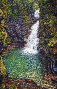 View of waterfall in forest