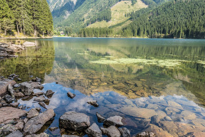 Reflection of trees in lake