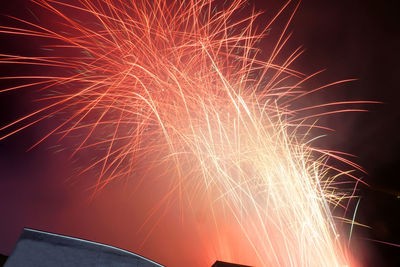 Low angle view of firework display at night