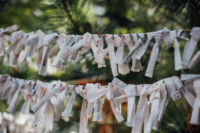Close-up of prayer flag hanging on rope