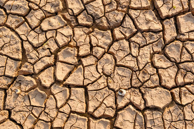 Full frame shot of cracked land