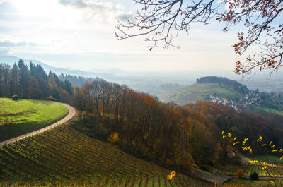 Scenic view of landscape against sky during autumn