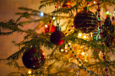 Close-up of christmas decorations hanging on tree