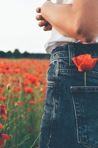 Midsection of man and red flower on field