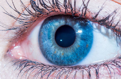 Close-up portrait of woman eye