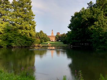 Reflection of trees in water
