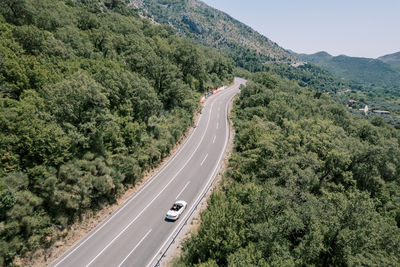 High angle view of road amidst trees