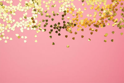 Low angle view of pink balloons against colored background