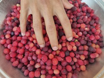 Cropped hand of woman with blueberries