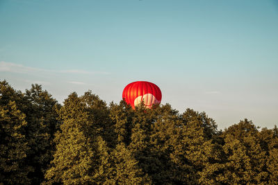 Low angle view of hot air balloons against sky